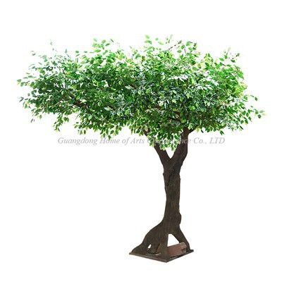 Simulació Banyan Tree One Side