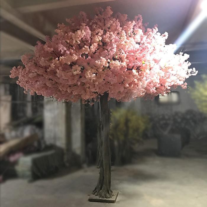 Cirerer rosa romàntic gran