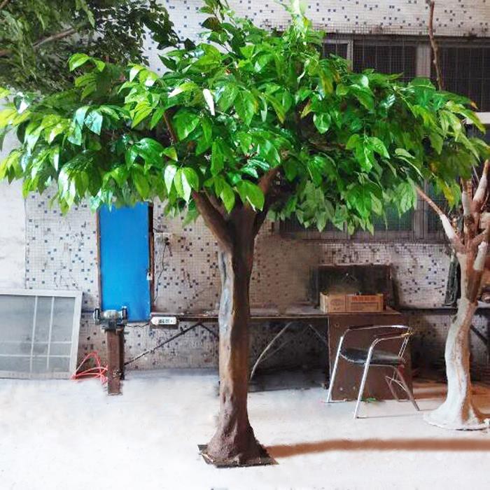 Arbre de fruita decoratiu de cacau