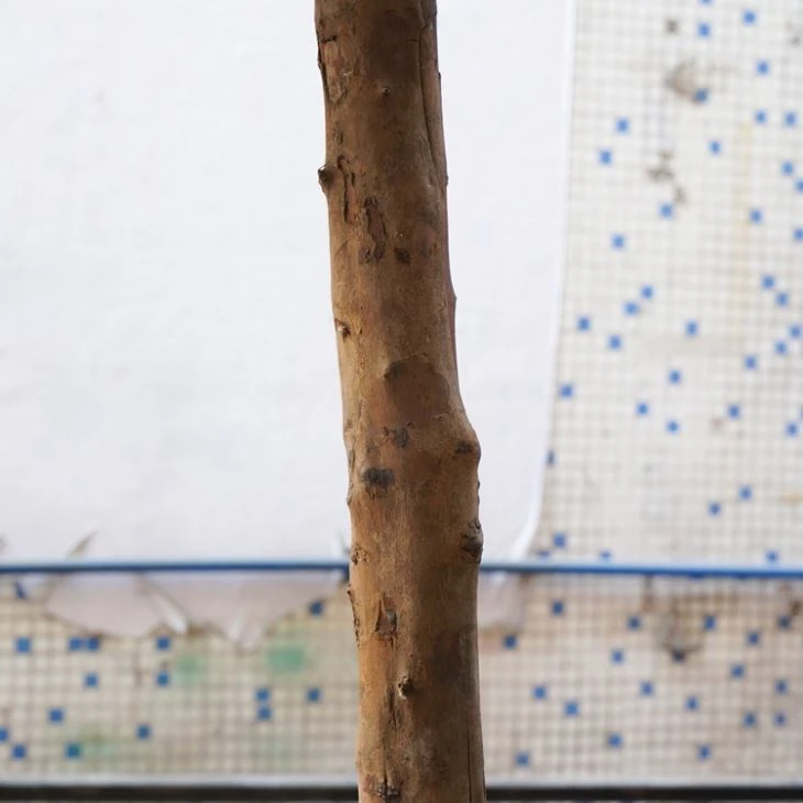 Fake White Floral Tree Wood Trunk Wholesale