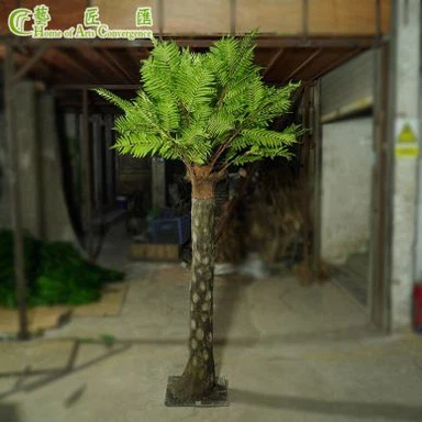 Plantes de palmera falsa de falguera