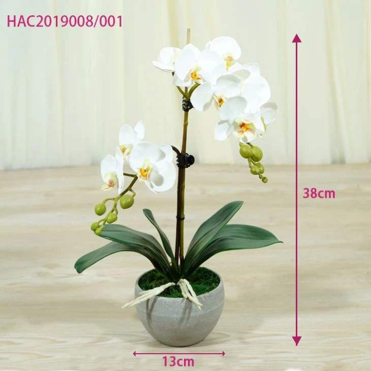 White Phalaenopsis Artificial Butterfly Orchids Lovely Gift Wholesale