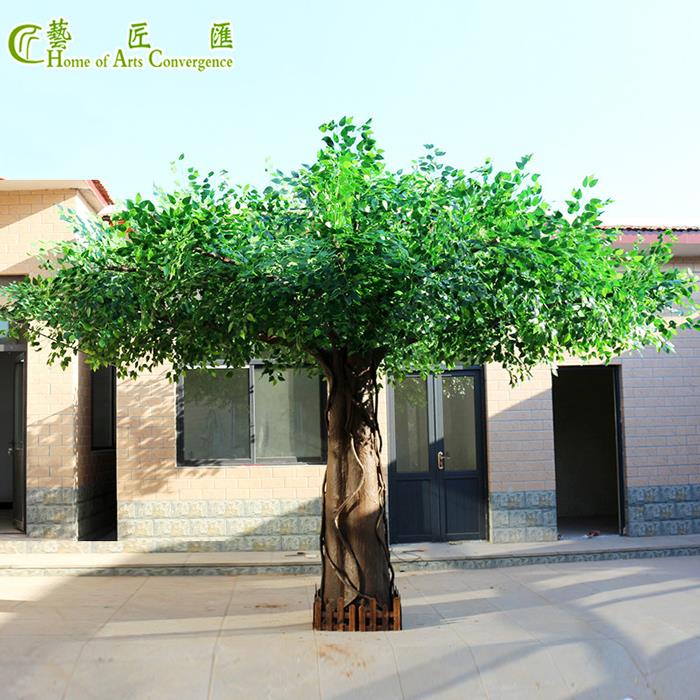 Fake Ficus